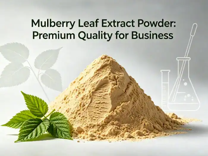 How to Use Mulberry Leaf Extract in Functional Teas and Beverages